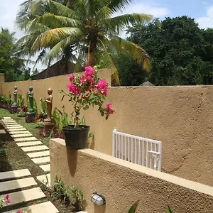 The Daryana Villa Ubud